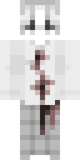 Передняя часть скина игрока Zertik228