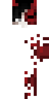 Передняя часть скина игрока _Fire_Nik_1