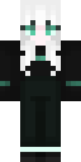 Передняя часть скина игрока _Holz_