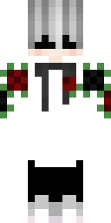 Передняя часть скина игрока _Killer_Akame_