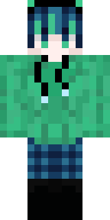 Передняя часть скина игрока _LinDIgo_