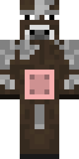 Передняя часть скина игрока _MikaCool_