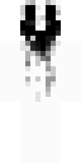 Передняя часть скина игрока ___PSIX___