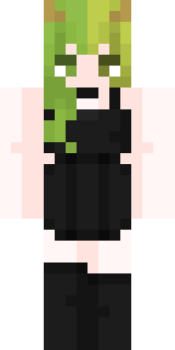 Передняя часть скина игрока __thx