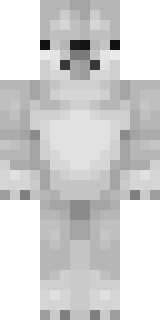 Передняя часть скина игрока _dissembling