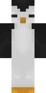 Передняя часть скина игрока _shemfi