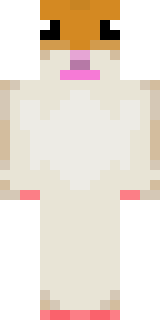 Передняя часть скина игрока aleks506