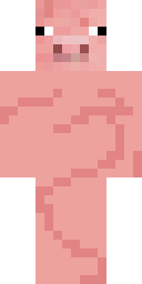 Передняя часть скина игрока amora