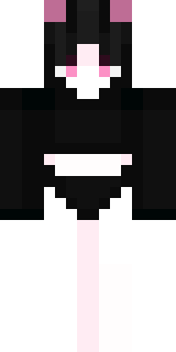 Передняя часть скина игрока arkamer