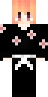 Передняя часть скина игрока askiess