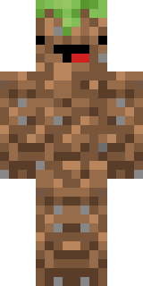 Передняя часть скина игрока batkya226