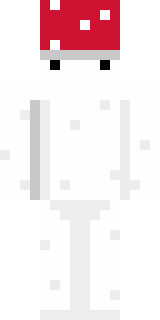 Передняя часть скина игрока danytanov63