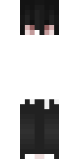 Передняя часть скина игрока disa