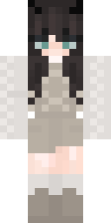 Передняя часть скина игрока dnlluk