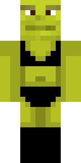 Передняя часть скина игрока fartunami