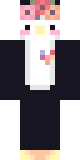 Передняя часть скина игрока fl3shko