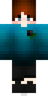 Передняя часть скина игрока h9r1z0n