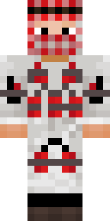 Передняя часть скина игрока herrou1