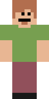 Передняя часть скина игрока homeomorphic