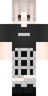 Передняя часть скина игрока iNiceHero