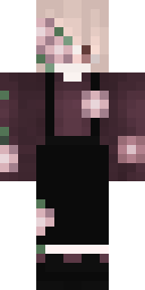 Передняя часть скина игрока killerls