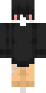 Передняя часть скина игрока laran118