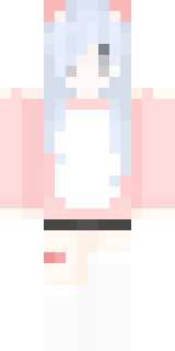 Передняя часть скина игрока meowmrr