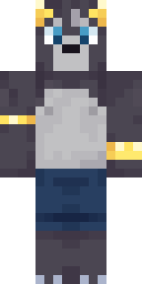 Передняя часть скина игрока mine23