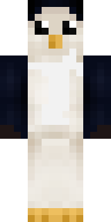 Передняя часть скина игрока nasty238