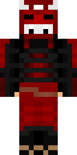 Передняя часть скина игрока novichek228