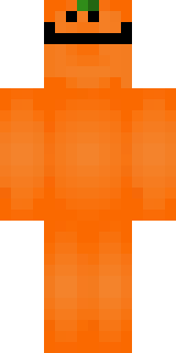 Передняя часть скина игрока ooio0