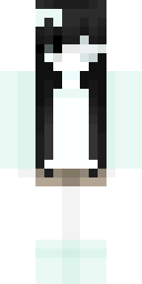 Передняя часть скина игрока petl9