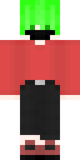 Передняя часть скина игрока pleer4Gud