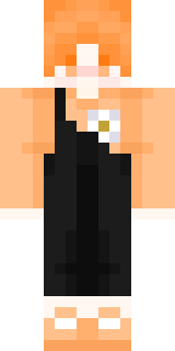 Передняя часть скина игрока potrell