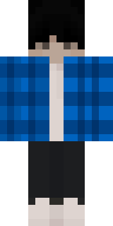 Передняя часть скина игрока sasi12