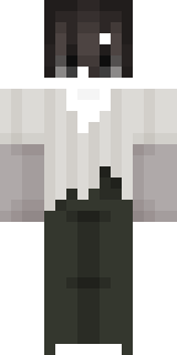 Передняя часть скина игрока scull