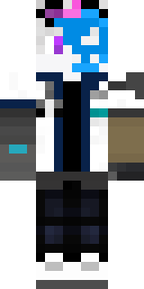 Передняя часть скина игрока skieve