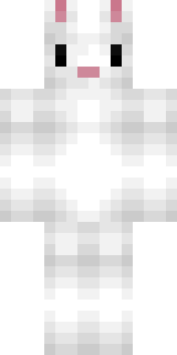 Передняя часть скина игрока snouptvmonster