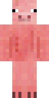 Передняя часть скина игрока svin