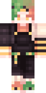 Передняя часть скина игрока toerobor