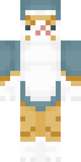 Передняя часть скина игрока transgeender