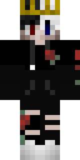 Передняя часть скина игрока triggerd