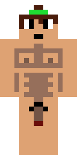 Передняя часть скина игрока vimia