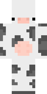 Передняя часть скина игрока walthallo