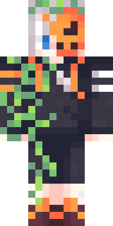 Передняя часть скина игрока wiser47