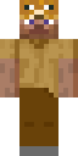 Передняя часть скина игрока wqnzee