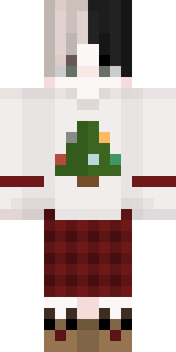 Передняя часть скина игрока xDinzr