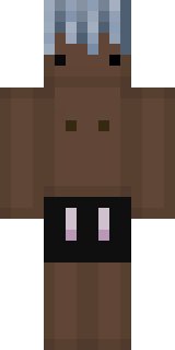 Передняя часть скина игрока xLaen