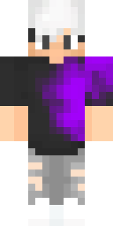 Передняя часть скина игрока x_purp1e_x