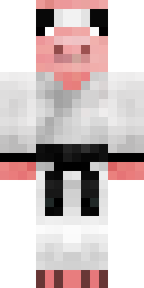 Передняя часть скина игрока yanepolak